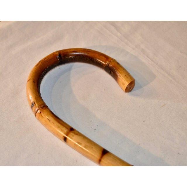 English Circa 1920 English Bamboo Walking Stick For Sale - Image 3 of 8
