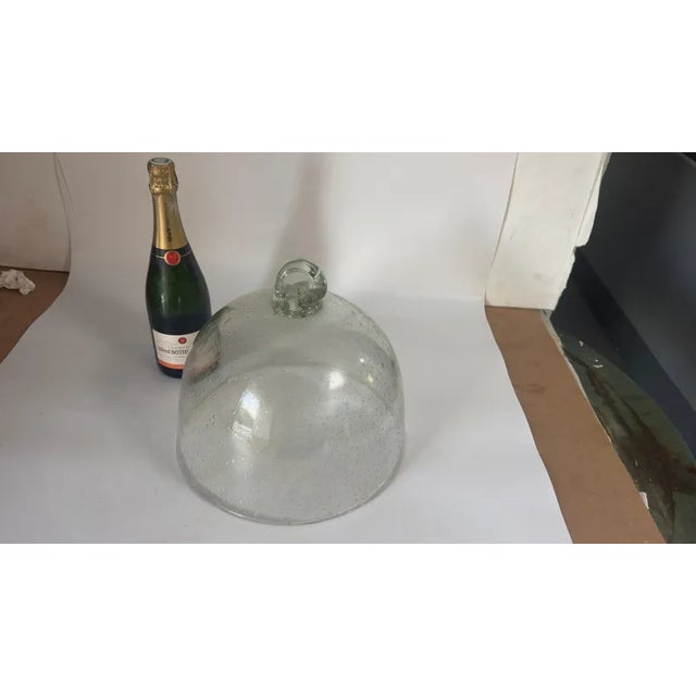 This exquisite glass bell jar, crafted by the renowned Biot glassworks in the southeast of France, is a perfect blend of...