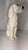 Vintage Italian Mid-Century Modern Glazed Ceramic Cocker Spaniel Dog Figurine For Sale In Mobile - Image 6 of 12