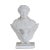 After Bertel Thorvaldsen, Bust of Napoleon Bonaparte, 19th Century, Bisque Porcelain For Sale