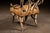 Mid 20th Century Monumental Longhorn Horn Throne Chair For Sale - Image 12 of 13