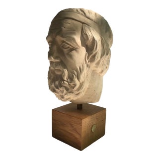 Grand Tour Bust of an Ancient Bard For Sale
