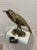 Modern Sanderling I Brass Sculpture, Animal For Sale - Image 3 of 5