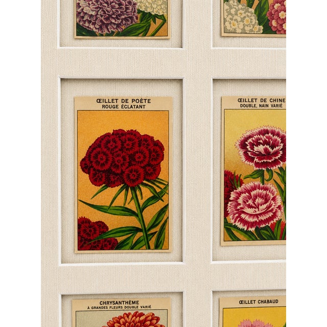 French Collection of 20 Authentic French Seed Packet Labels, C. 1930, Custom Framed Decorative Wall Art For Sale - Image 3 of 6