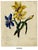 Leopold Billek, Hunting Forest Map, 1800s, Paper For Sale - Image 5 of 8