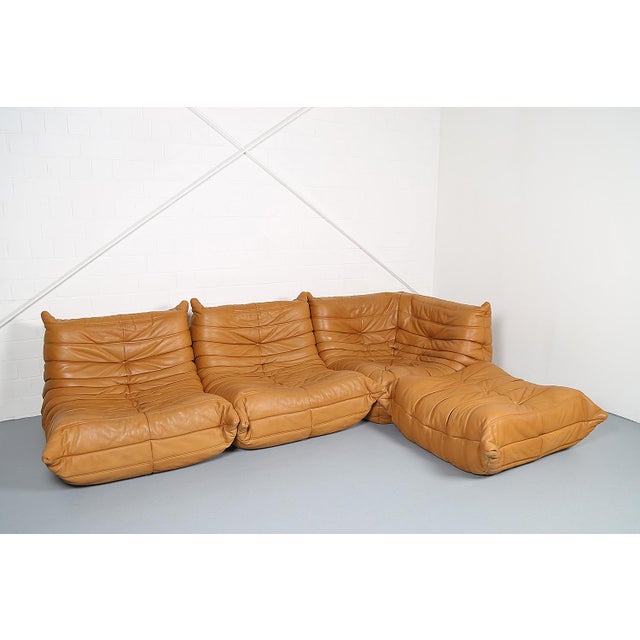 Cognac Leather Togo Sofas by Michel Ducaroy for Ligne Roset, 2010s, Set of 4 For Sale - Image 18 of 18