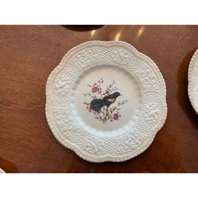 Royal Cauldon Bristol Ironstone “Aviary” Bird Plates by h.a. Pausch, Set of 8, Mid-Century For Sale In Chicago - Image 6 of 13