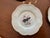 Royal Cauldon Bristol Ironstone “Aviary” Bird Plates by h.a. Pausch, Set of 8, Mid-Century For Sale In Chicago - Image 6 of 13