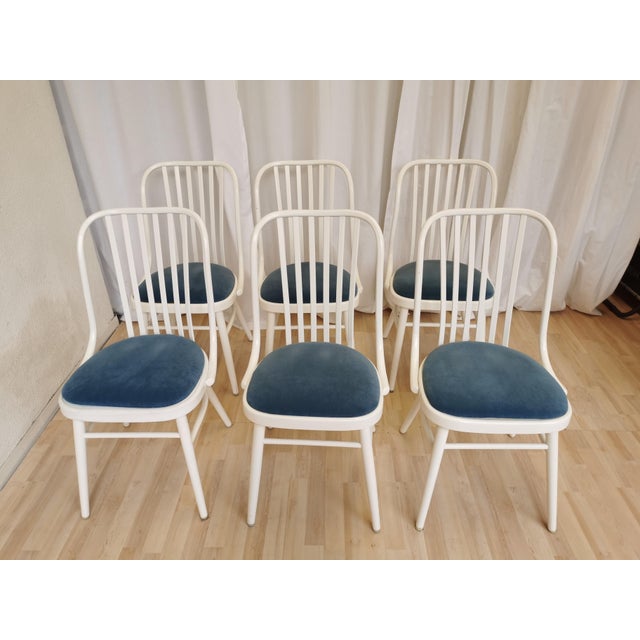 Mid-Century Modern Vintage White Bentwood Dining Chairs with Blue Fabric Seats, 1970s, Set of 6 For Sale - Image 3 of 15