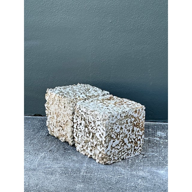 Mid 20th Century Vintage Coquina Stone Blocks - A Pair For Sale - Image 5 of 12