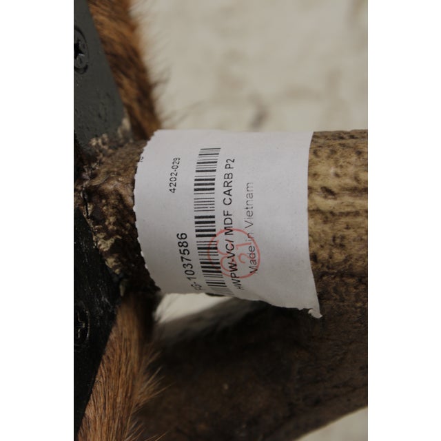 Theodore Alexander Antler Chair W. Animal Hide For Sale - Image 15 of 15