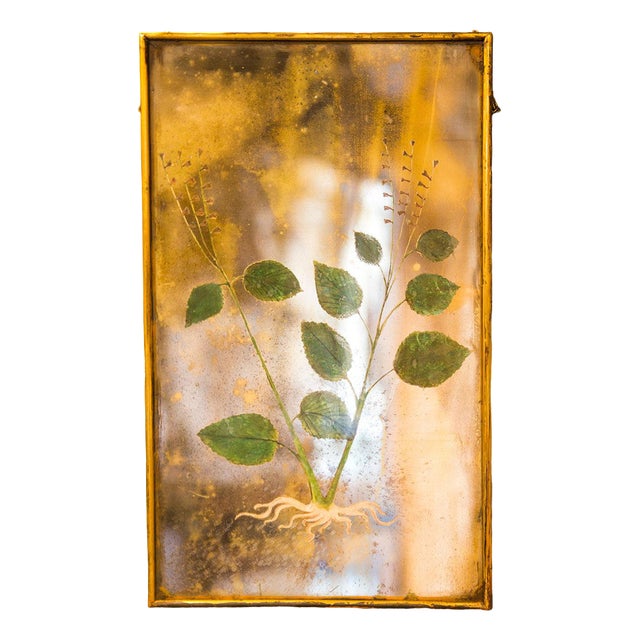 Lillum Selvaticum Silver Mirror from Unique Mirrors For Sale