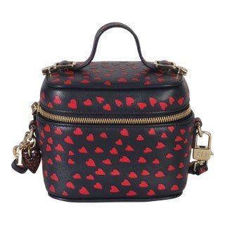 Blue Red Dioramour DiorTravel Micro Vanity Case For Sale