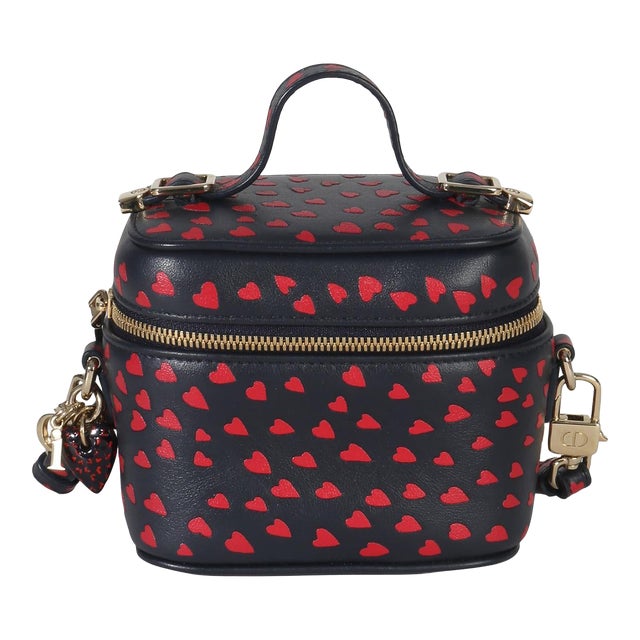 Blue Red Dioramour DiorTravel Micro Vanity Case For Sale