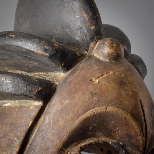 Early 20th Century Suku Helmet Mask For Sale - Image 11 of 14
