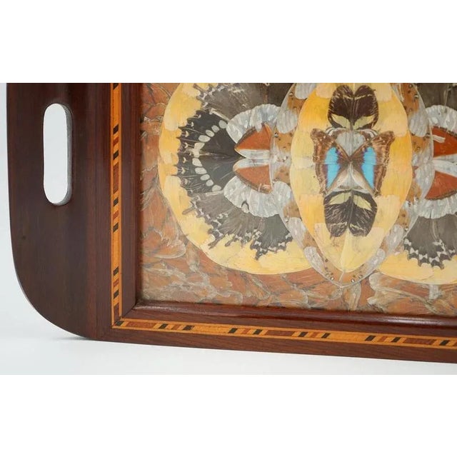 Wood Vintage Morpho Butterfly Tray, 1940s For Sale - Image 7 of 11
