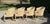English Vintage Sherrill Furniture Bucket Dining Chairs on Casters in Plaid Upholstery, Set of 4 For Sale - Image 3 of 16