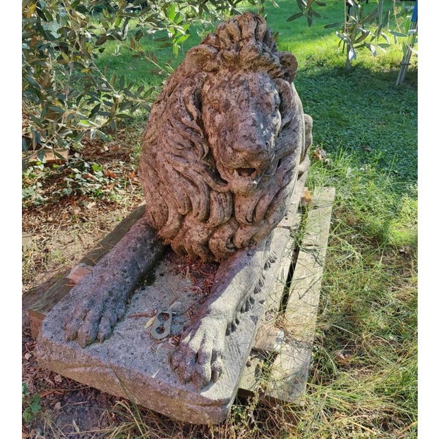 Handcrafted and Sculpted Ofllions in Vicenza Stone, 19th Century, Set of 2 For Sale - Image 10 of 12