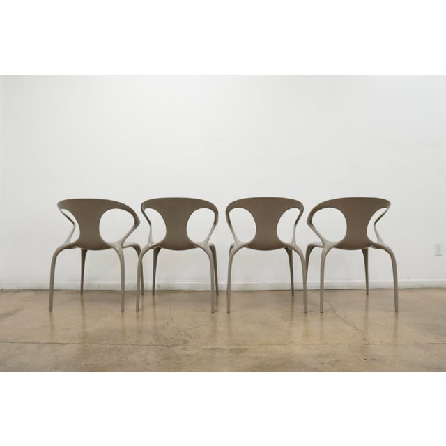 Roche Bobois Ava Dining Chairs (Set of 8) For Sale - Image 10 of 16