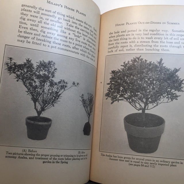 1929 "Milady's House Plants" Hardcover Book For Sale - Image 10 of 11