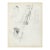 Grace Spongberg Yaqui Chapayekas Figure Drawing For Sale