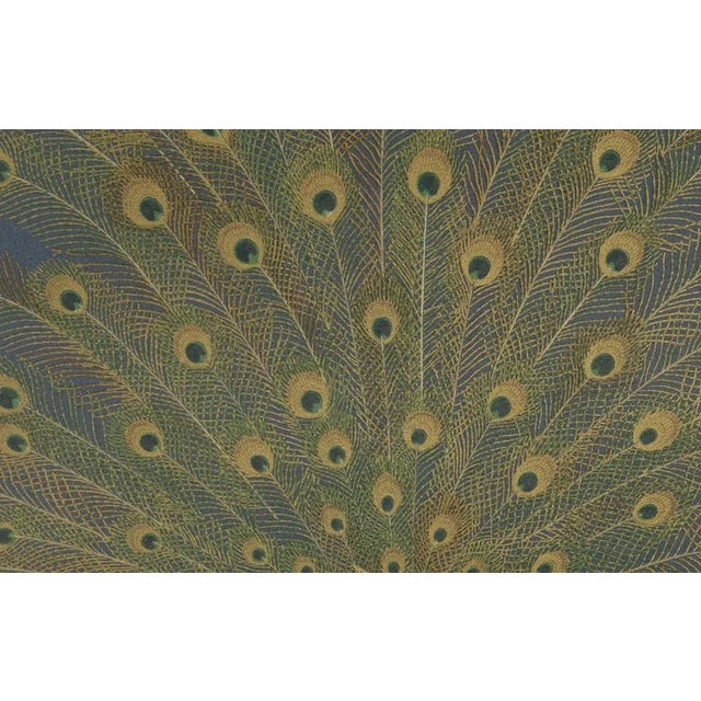 Peacocks in Full Plumage, 1880s, Paper For Sale - Image 3 of 10