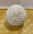 White 1997 Sea Shell Decorative Ball, White For Sale - Image 8 of 8