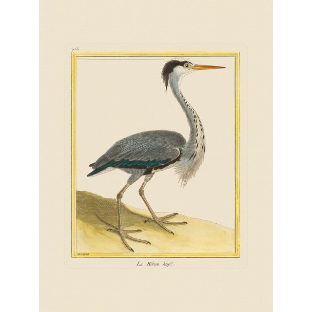 2020s Shore Bird Grouping by Martinet Blue and Pink Giclee Reproductions For Sale - Image 5 of 11