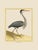 2020s Shore Bird Grouping by Martinet Blue and Pink Giclee Reproductions For Sale - Image 5 of 11