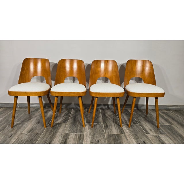 Tan Dining Chairs from Oswald Haerdtl, 1950s, Set of 4 For Sale - Image 8 of 10