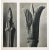 Contemporary 1935 Karl Blossfeldt Two-Sided Photogravure N9-10 For Sale - Image 3 of 12