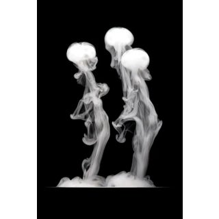 The Conversation - Dye Sublimation Photographic Print by George Diebold For Sale