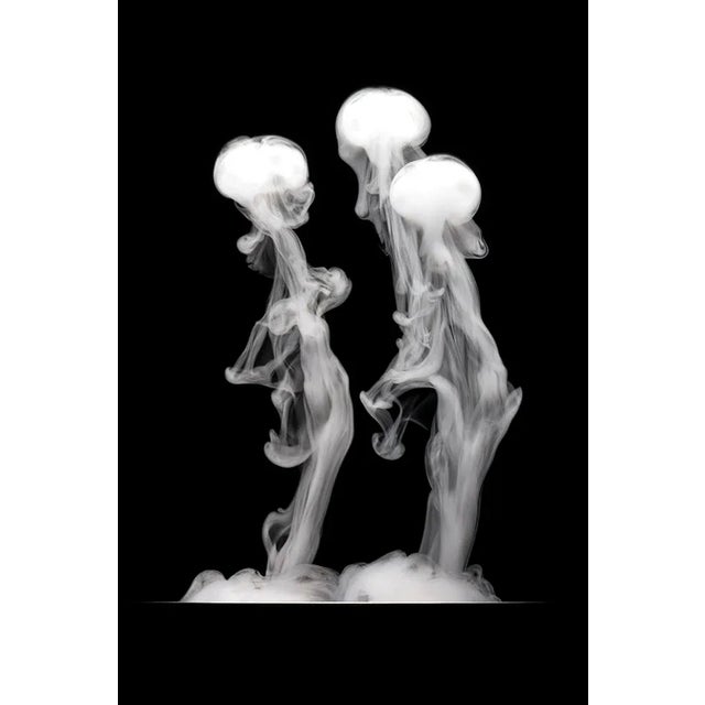 The Conversation - Photographic Print by George Diebold For Sale