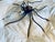 Black Mid-Century Italian Modern Metal and Glass Spider Wall Lamp, 1950s For Sale - Image 8 of 18