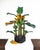Mid-Century Hand-Carved Wooden Banana Tree Sculpture, South America, 1950s For Sale - Image 18 of 18