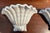 Serge Roche Serge Roche Style Rococo Plaster Sea Shell Wall Light Sconces - A Pair For Sale - Image 4 of 12