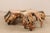 Tropical Teak Root Hardwood Coffee Table For Sale In Atlanta - Image 6 of 12