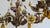 Bronze 1940 French Tole Bronze With Ceramic Flowers Chandelier For Sale - Image 8 of 8
