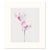 "Pink Flowers" Original Set of Four Watercolor Paintings by Yuki Osada For Sale - Image 4 of 6