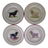 Set X 4 Vintage Cyril Gorainoff Spaniel Dog Hand-Painted Bedford Ware Plates For Sale