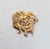 Mid-Century Modern Vintage 1970s Signed Napier Goldtone "Coral" Brooch For Sale - Image 3 of 7