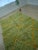 Lime Green Diamond Wool Moroccan Beni Ourain Rug For Sale - Image 12 of 12