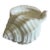 Vintage White Bone China Conch Shell Dish For Sale