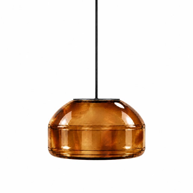 Tortoiseshell Blown Glass Pendant Light by Artem Zakharchenko-Halytskyi For Sale - Image 4 of 4