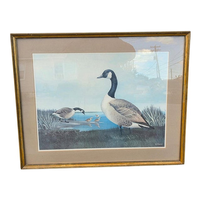 19th Century Beautiful Decorative Painting of Goose Family/ Wood Frame and Glass Cover. For Sale