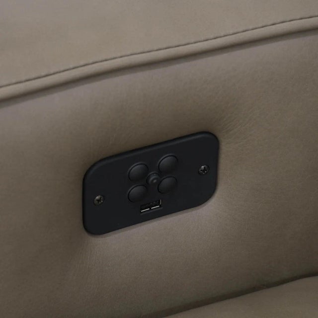 Animal Skin Bradington-Young Raymond Power Reclining Sofa For Sale - Image 7 of 8