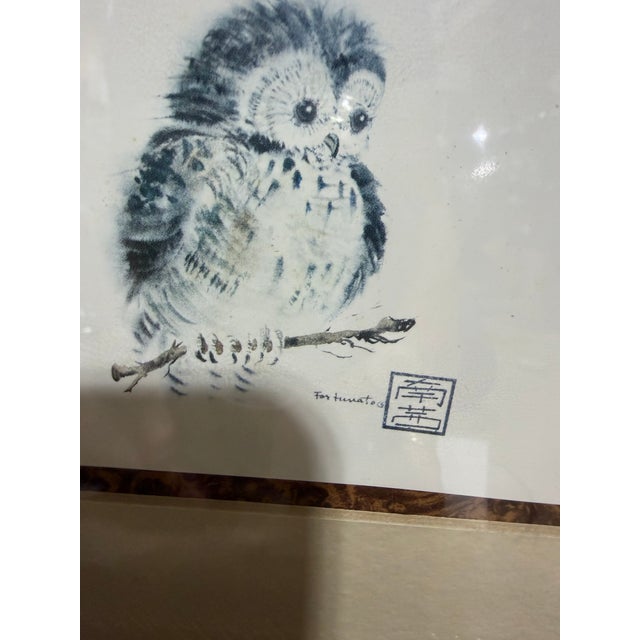 Add a touch of vintage charm and serene natural beauty to your space with this exquisite framed owl print. Rendered in a...