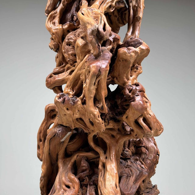 Large Japanese Burl Root Wood Plant Stand, 1920s For Sale - Image 10 of 18