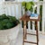 English Antique English Tortoiseshell Bamboo Tall Side Table or Plant Stand, Circa 1900 For Sale - Image 3 of 11