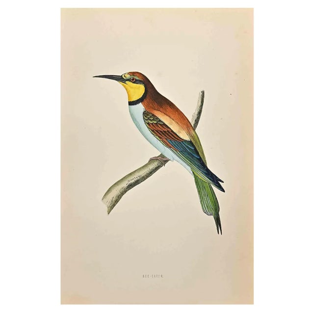 Alexander Francis Lydon, Bee-Eater, Woodcut Print, 1870 For Sale